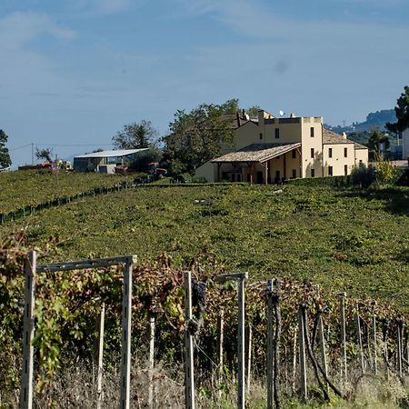 Masseria Del Vino 洛雷托·阿普鲁蒂诺 外观 照片