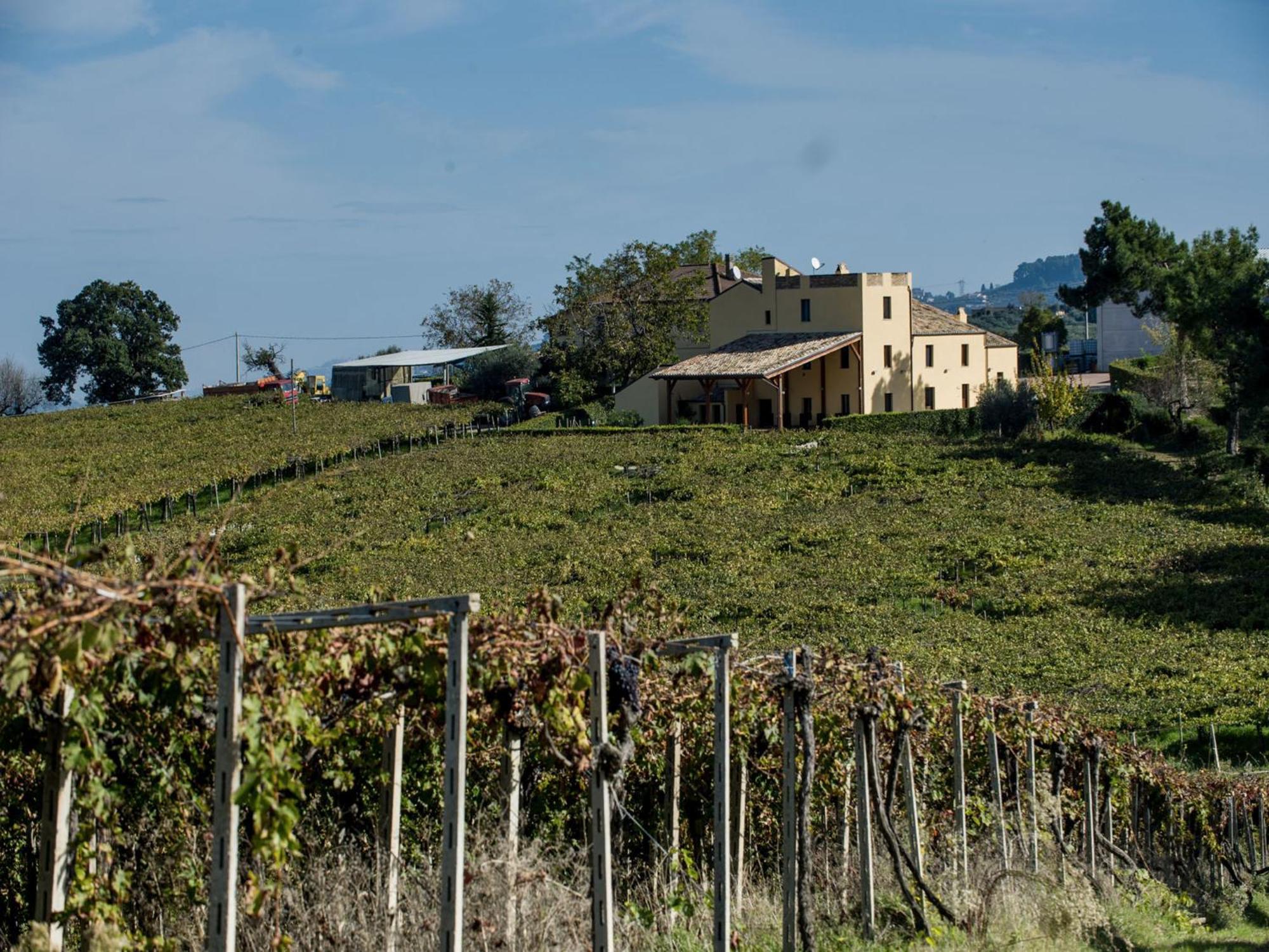 Masseria Del Vino 洛雷托·阿普鲁蒂诺 外观 照片