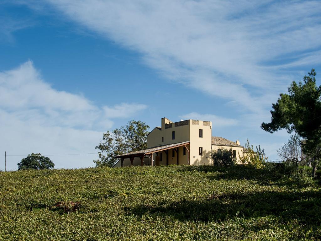 Masseria Del Vino 洛雷托·阿普鲁蒂诺 外观 照片