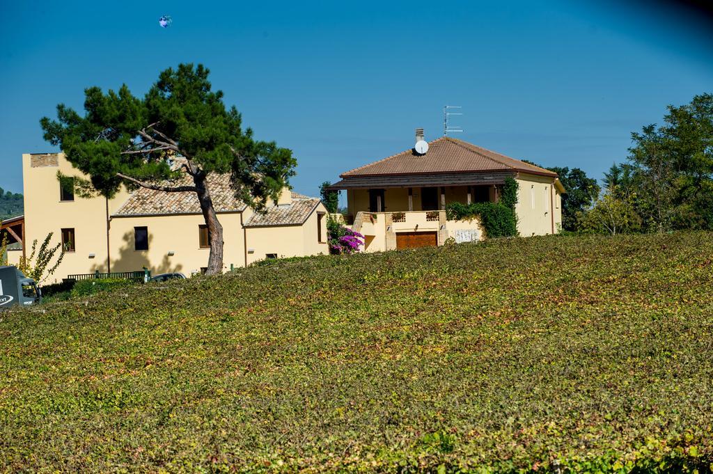 Masseria Del Vino 洛雷托·阿普鲁蒂诺 外观 照片