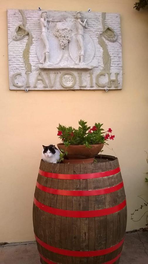 Masseria Del Vino 洛雷托·阿普鲁蒂诺 外观 照片